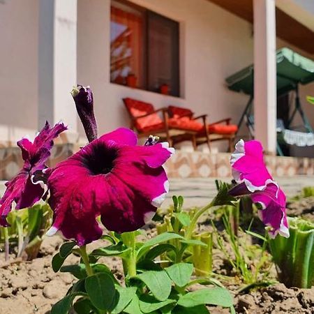 Casa Caraua Villa Greci Dış mekan fotoğraf